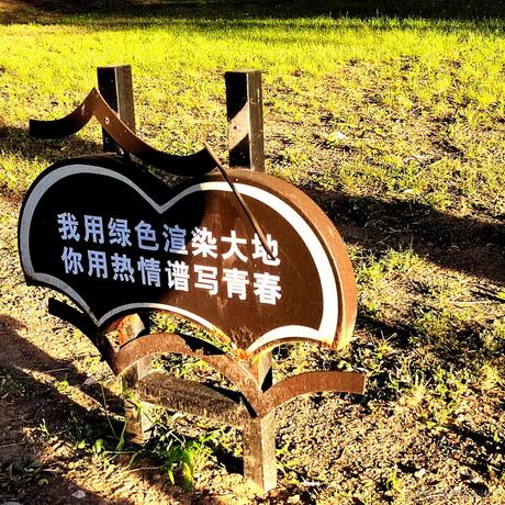 李岑岑于2022-06-02 00:06发布的图片