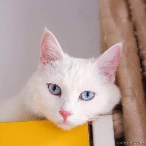 Susie_女子于2021-09-14 17:08发布的图片