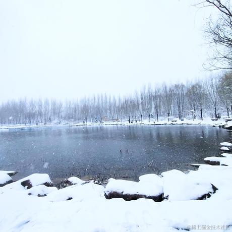 Jellyfisher于2022-11-17 12:35发布的图片