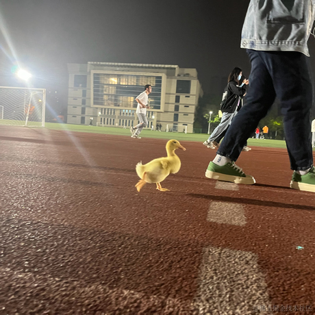 iwxf于2022-05-12 10:06发布的图片