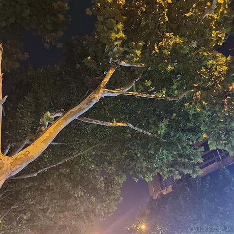 estar于2022-11-15 21:51发布的图片