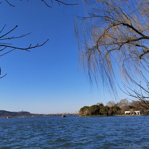 Sarah_于2024-01-24 14:10发布的图片