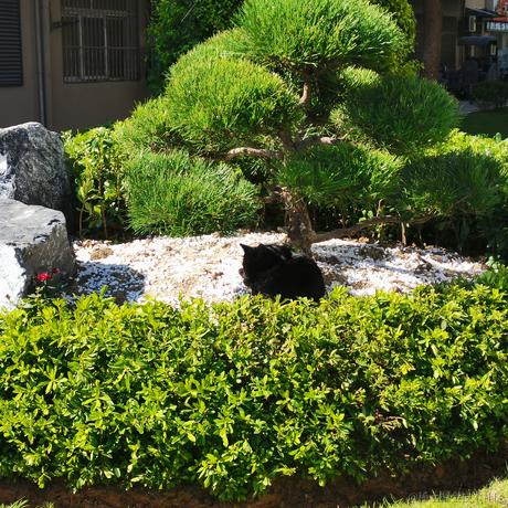 顶碗的王木木于2022-11-26 09:29发布的图片