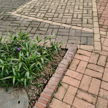 义演鼎争于2022-11-29 14:08发布的图片