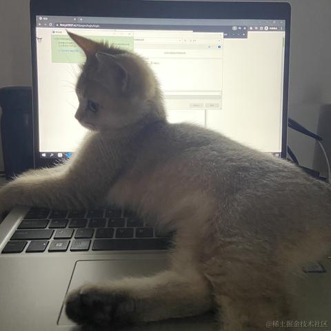 UNdefined于2022-06-14 14:58发布的图片