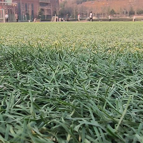 琳Tom于2022-12-03 15:05发布的图片