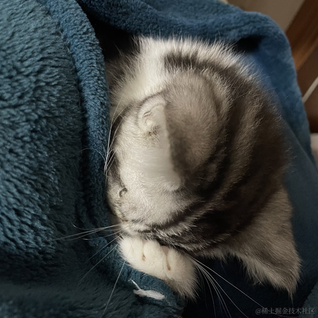 大肥咕于2022-12-04 03:03发布的图片