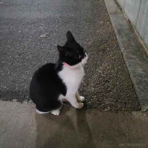 灵小猫于2022-11-14 19:10发布的图片