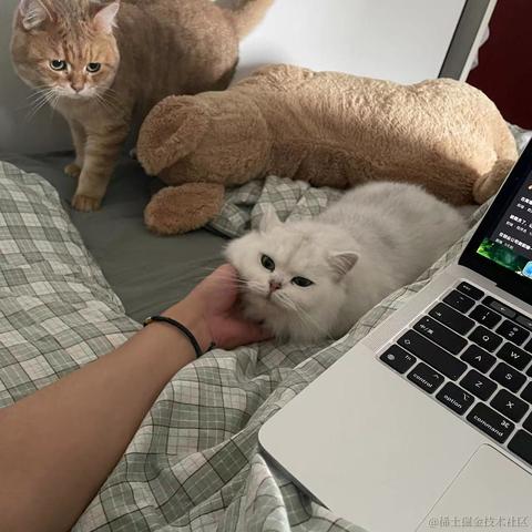 揽住了风于2023-07-28 09:24发布的图片