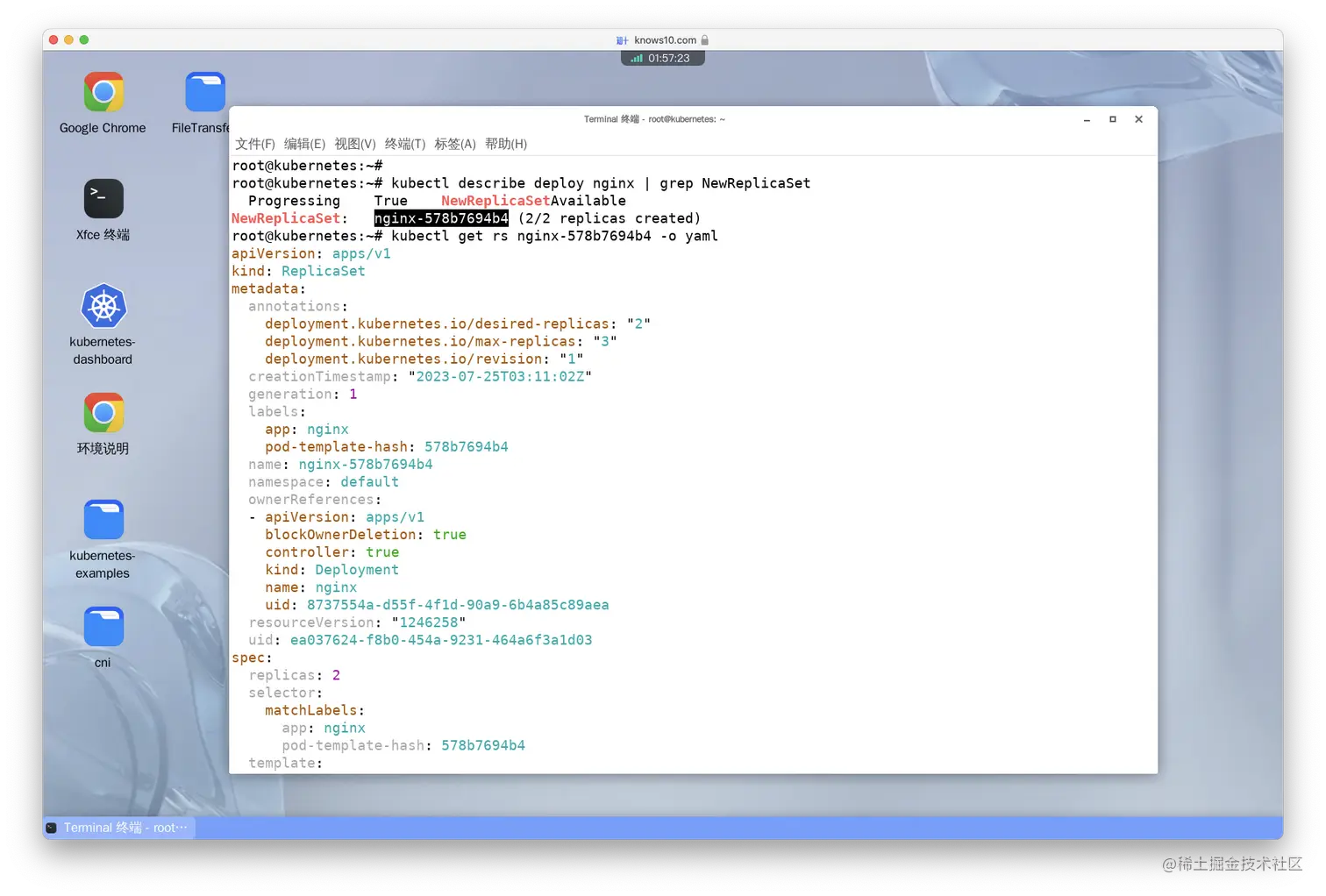 View the YAML of the replica set that was created by this deployment.