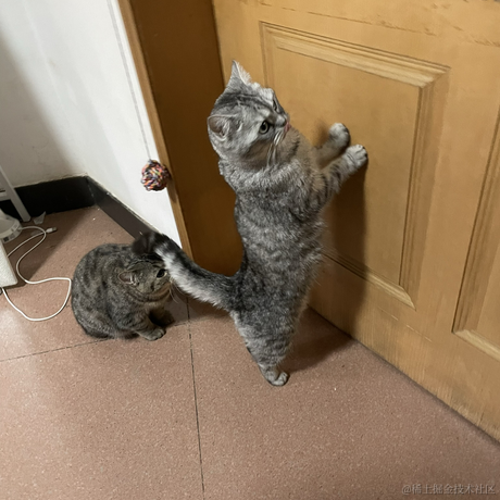 heronCCC于2023-05-26 08:56发布的图片