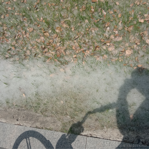 卖核弹的龟于2022-04-06 13:34发布的图片