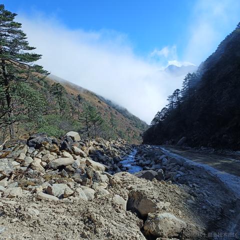 一个魂魂于2022-11-15 09:02发布的图片