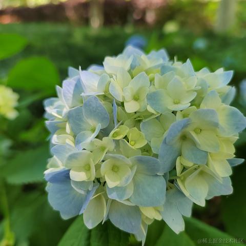 Sarah_于2024-05-17 10:12发布的图片