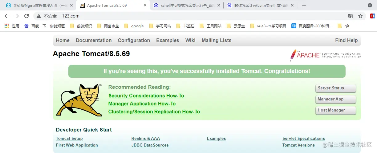 nginx反向代理配置完效果.png