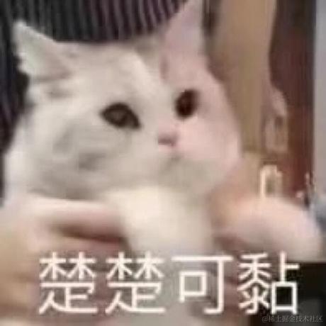 带刀的猫于2023-05-26 16:10发布的图片
