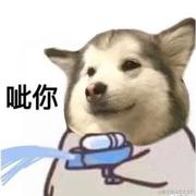 编程小子_的个人资料头像