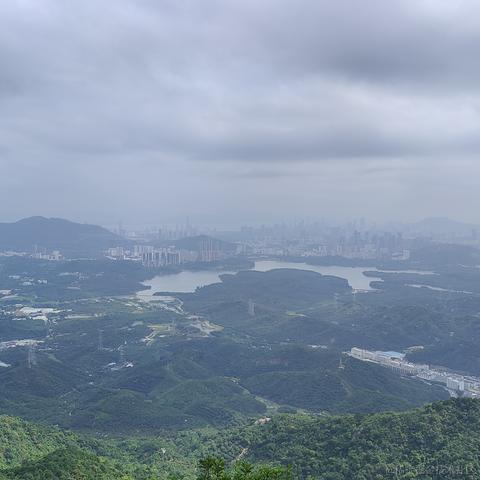 小绵羊呀于2023-05-04 08:58发布的图片