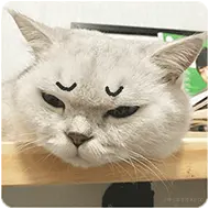 1662FA6E.png