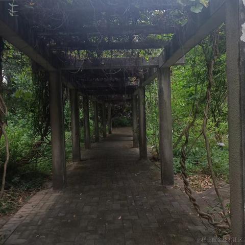 千岁归鹤于2022-11-18 23:14发布的图片