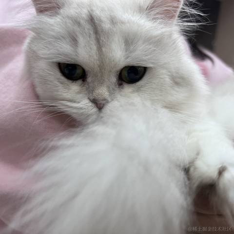 余祉晴于2023-04-16 09:46发布的图片