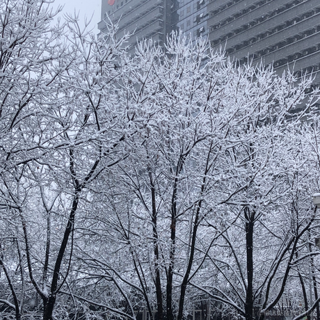 season_zhu于2022-02-07 09:28发布的图片