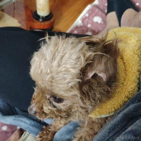 海绵bb于2022-12-30 13:50发布的图片