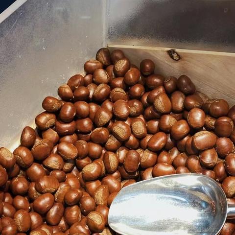 moonWind于2022-10-17 08:52发布的图片