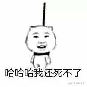 野生猪的诡异行为实录