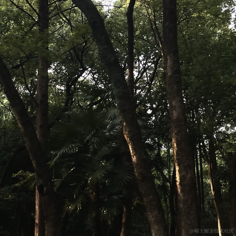 紫菜捏于2022-11-22 10:15发布的图片