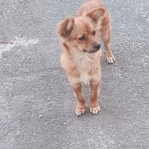 卷死你丫的于2024-05-17 09:14发布的图片