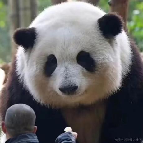 Ricardo_M_Eric于2023-05-16 08:06发布的图片