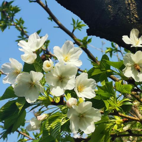 小小喵于2023-03-11 11:57发布的图片