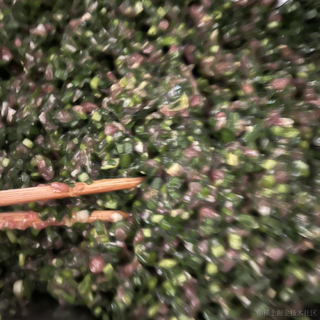 勇敢的菜花啊啊啊于2022-06-03 02:06发布的图片