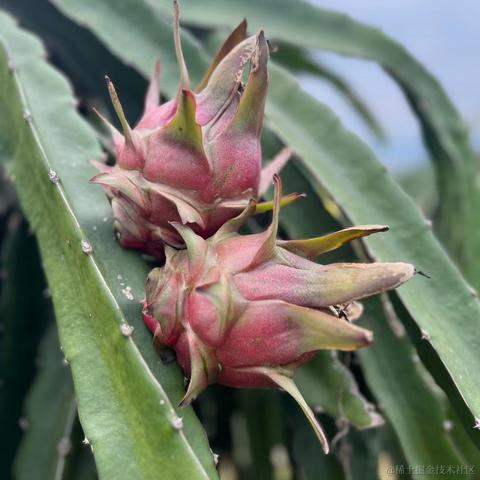 我想中奖于2023-01-27 16:26发布的图片