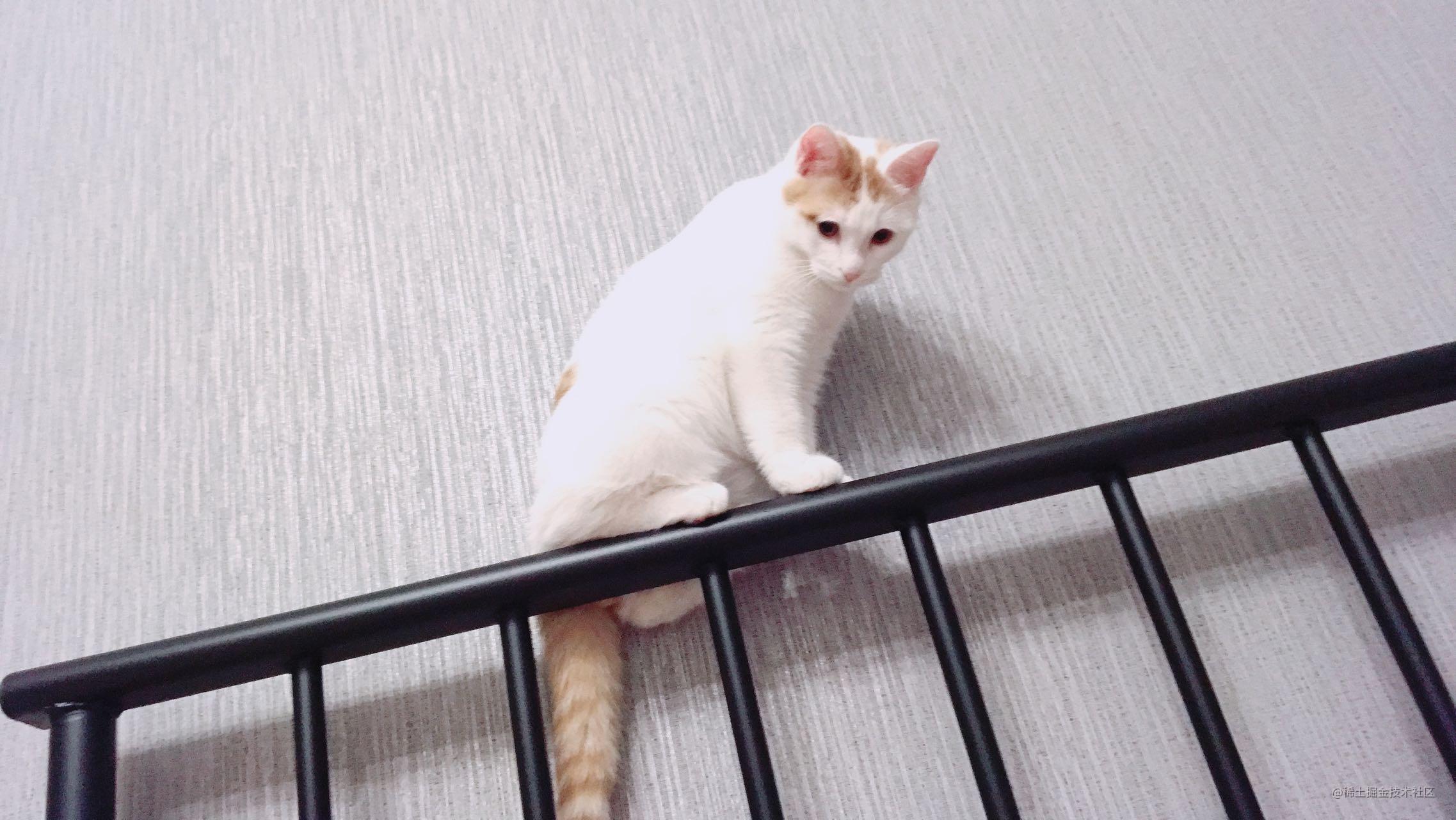 Vue框架快速搭建