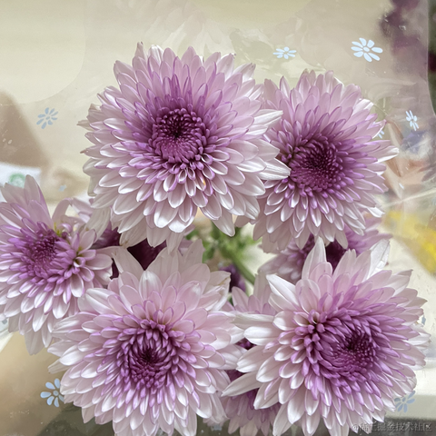 我是个靓崽于2023-05-03 23:29发布的图片