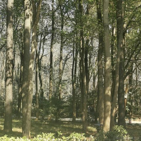 干饭阿澄于2023-04-12 16:37发布的图片