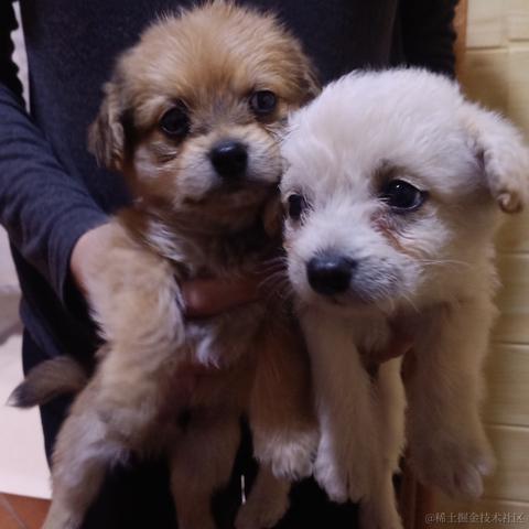 用户7210340961494于2023-01-20 21:00发布的图片