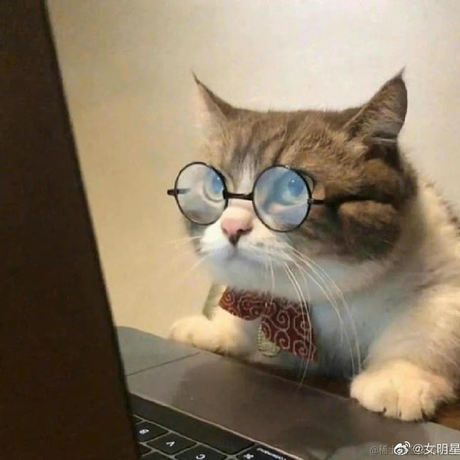 user8479217262792于2023-04-20 10:54发布的图片
