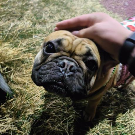 代码大师于2023-03-30 19:30发布的图片