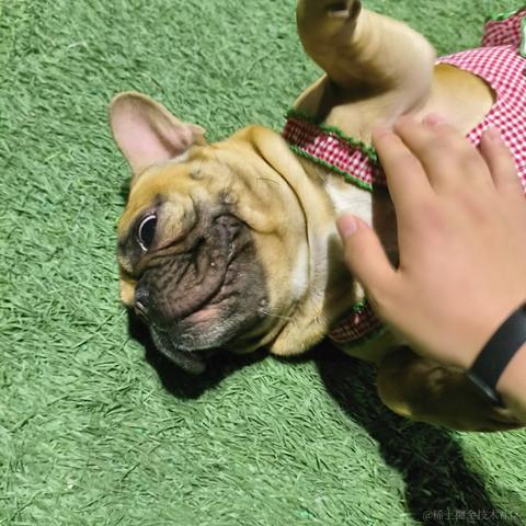 代码大师于2023-03-30 19:46发布的图片