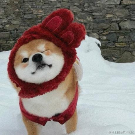 lookenghua于2023-01-07 10:44发布的图片