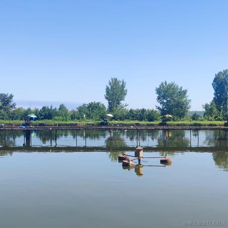 卖菜_摊主于2022-07-23 19:05发布的图片