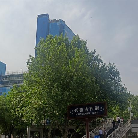 白色小甜羊于2023-05-02 23:21发布的图片