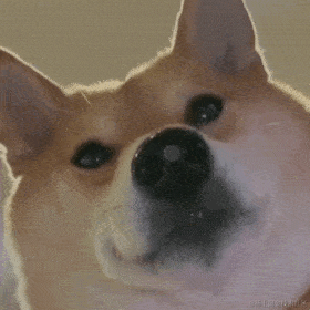 已注销于2022-11-13 10:36发布的图片