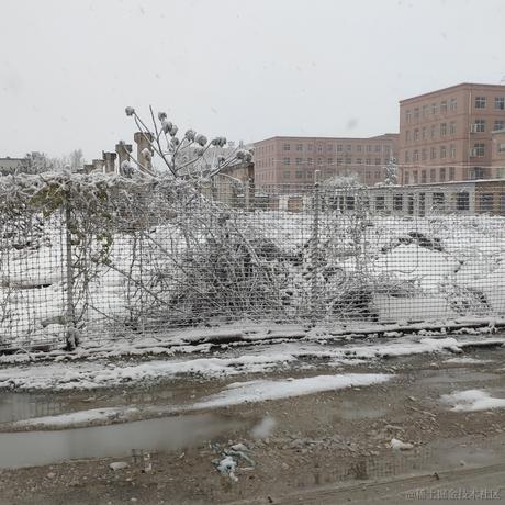 琳子加碗饭于2022-11-29 15:10发布的图片