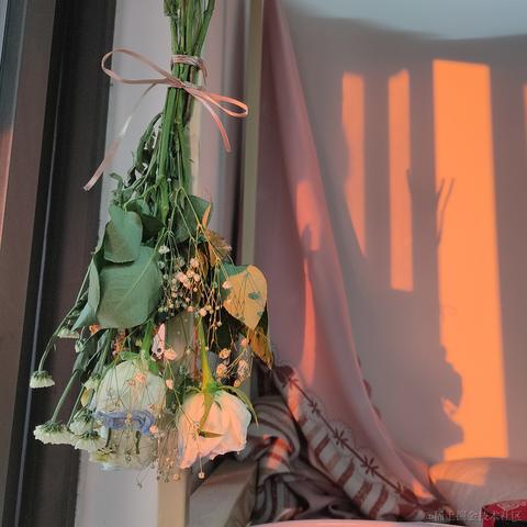 然然世界第一可爱于2022-11-11 19:41发布的图片