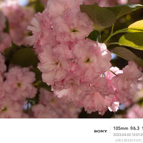 北冥有你于2023-04-04 08:54发布的图片