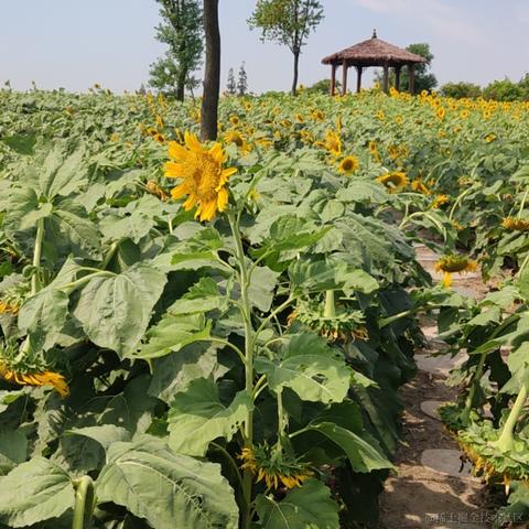 此帐号已注销于2022-08-17 12:20发布的图片